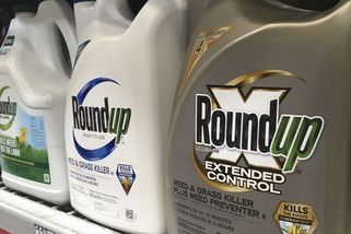 Nejvyšší soud USA se postavil na stranu výrobce herbicidu Roundup - Novinky